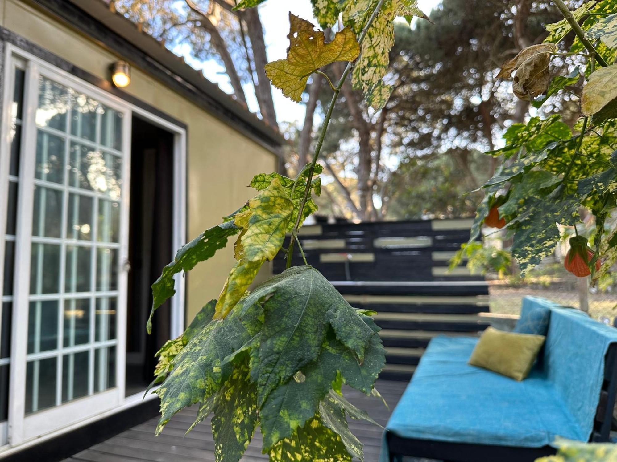 Eco-Friendly Beach House Σεσίμπρα Εξωτερικό φωτογραφία