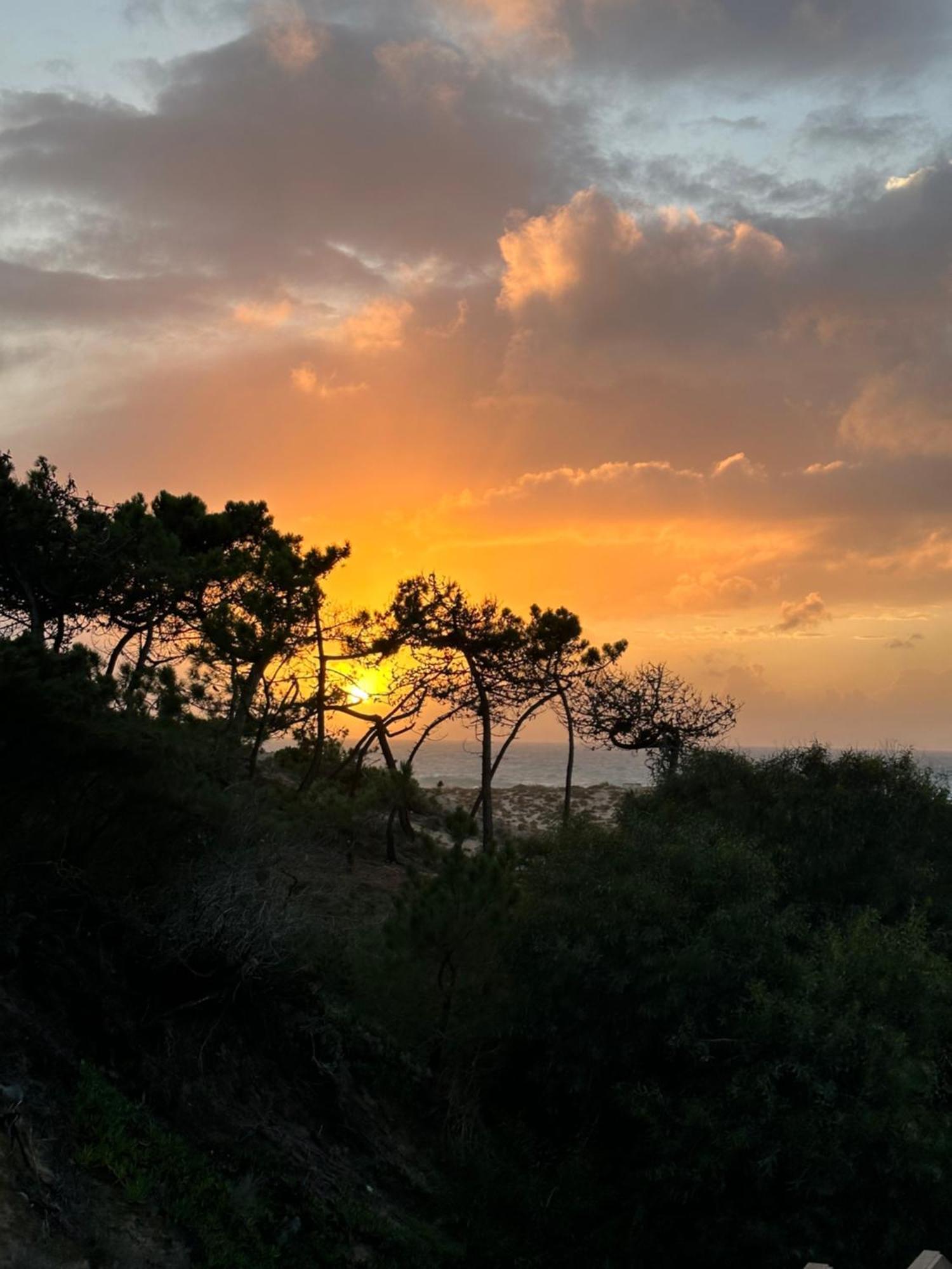 Eco-Friendly Beach House Σεσίμπρα Εξωτερικό φωτογραφία