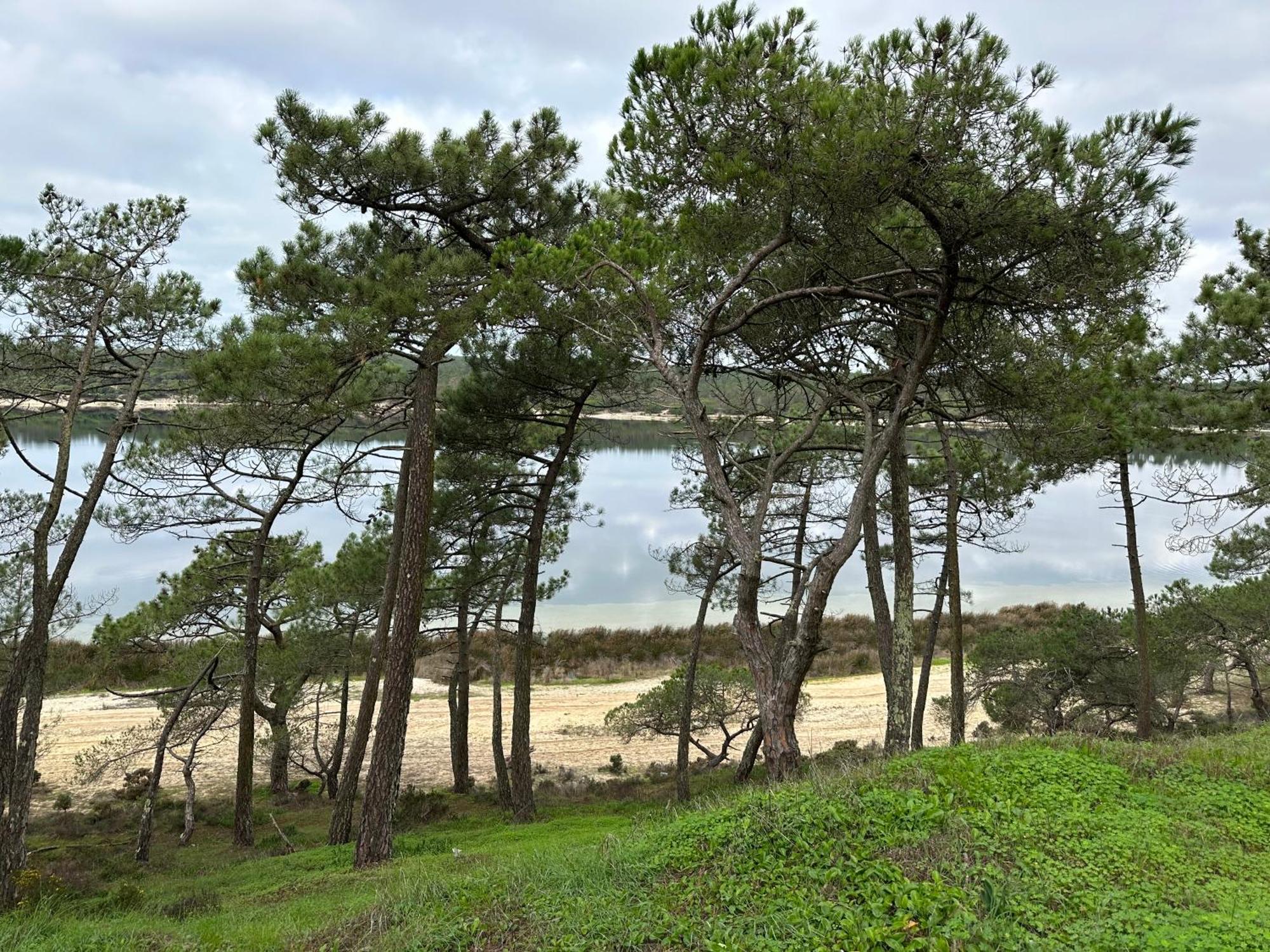Eco-Friendly Beach House Σεσίμπρα Εξωτερικό φωτογραφία